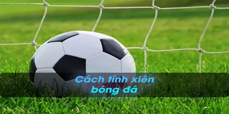 Cách tính cược xiên bóng đá