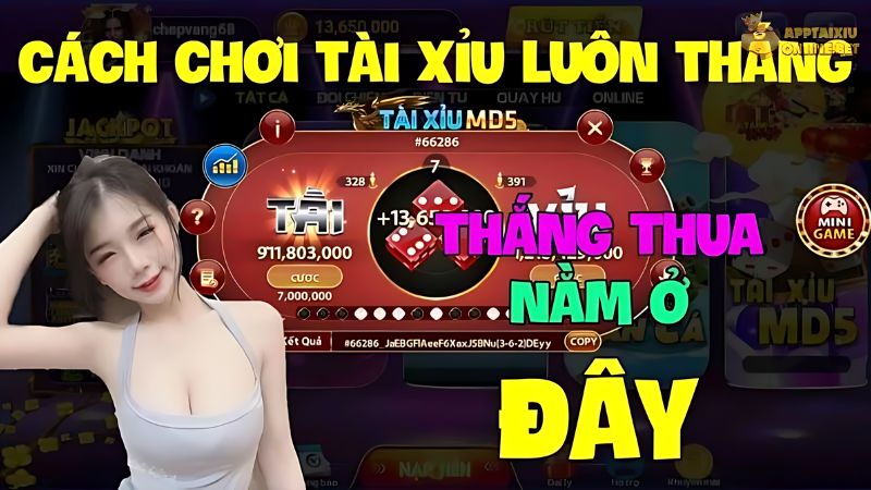 Giới thiệu về mẹo chơi Tài Xỉu để luôn thắng